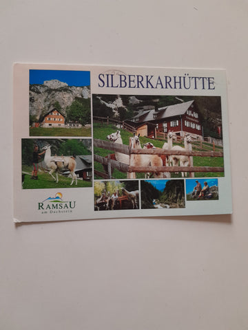 AK Ramsau am Dachstein. Silberkarhütte. Lamareiten - Lamatrekking.