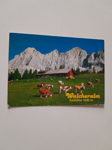 AK Ramsau 10. Pension Walcherhof Fam. Walcher.