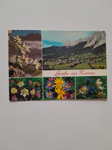 AK Grüße aus Ramsau.