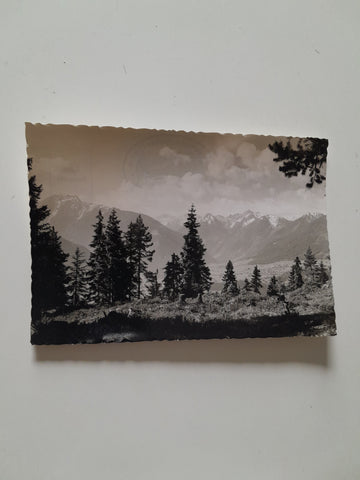 AK Blick vom Berggasthof Kulmberg gegen Tauern.