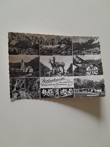 AK Urlaubsgrüße aus der schönen Bergwelt des Dachstein's.