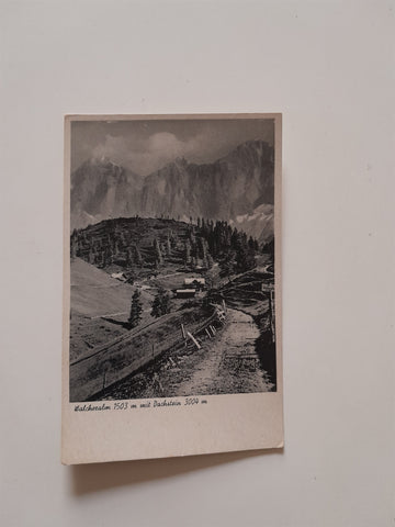 AK Walcheralm mit Dachstein.