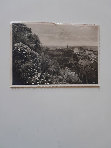 AK Graz. Schloßberg (Alpengarten) Blick gegen Süden. (1939)