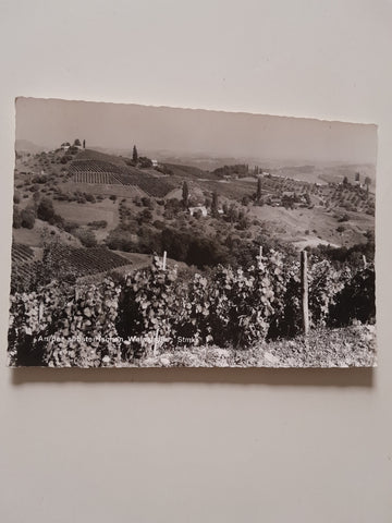 AK An der südsteirischen Weinstraße.