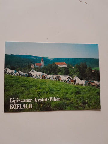 AK Lipizzanergestüt Piber. Köflach.