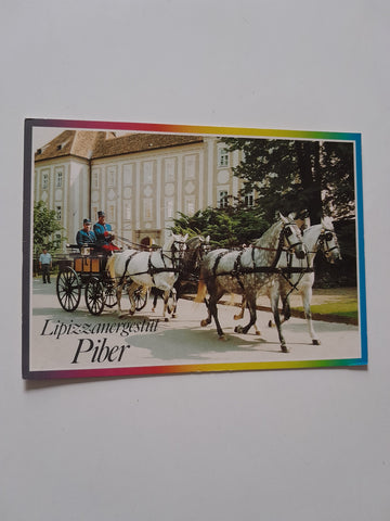 AK Lipizzanergestüt Piber. Köflach. Vierer Gespann.