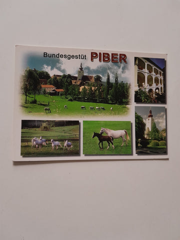 AK Bundesgestüt Piber. Köflach.
