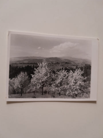 Foto Bei Stallhofen mit Blick zur Stubalpe.