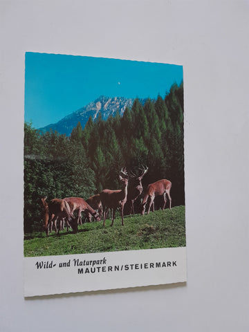 AK Wild- und Naturpark Mautern.