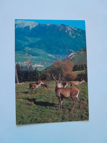 AK Wild- und Naturpark Mautern.