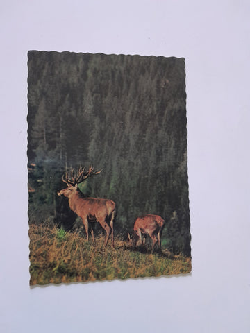 AK Mautern. Wild- und Naturpark.