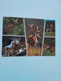 AK Wild- und Naturpark Mautern.