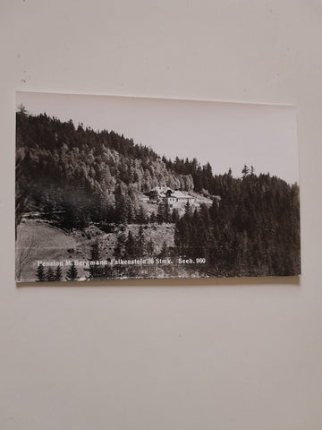 AK Pension M. Bergmann Falkenstein.