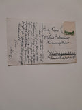 AK Grüsse aus Stainz. (1918)