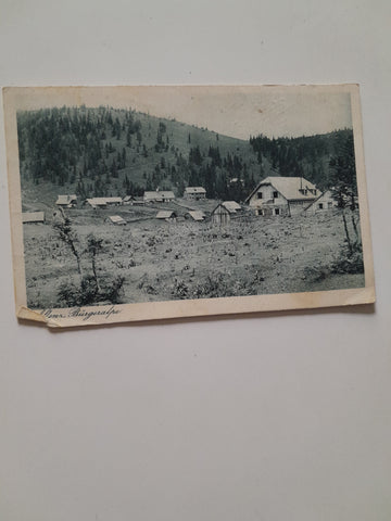 AK Aflenz. Bürgeralpe. (1923-24)