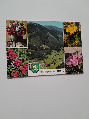 AK Blumengrüße aus Frein.