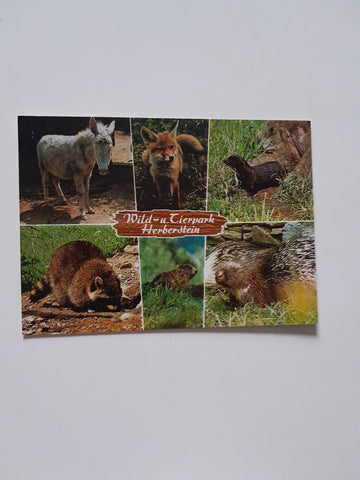 AK Wild- und Tierpark Herberstein.