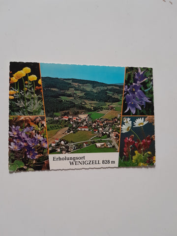 AK Wenigzell.