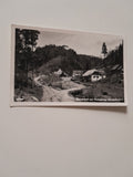 AK Demeldorf mit Festenburg. (1956)