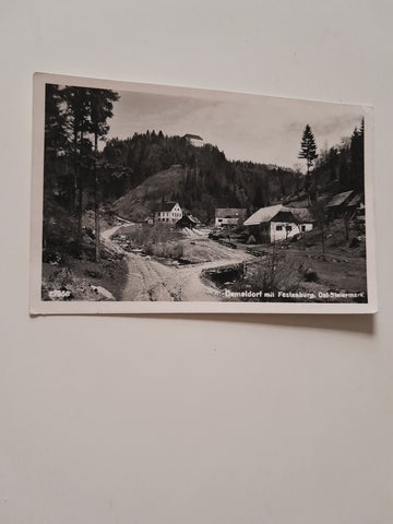 AK Demeldorf mit Festenburg. (1956)