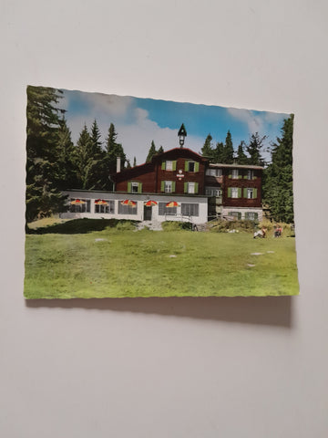 AK Hallerhaus am Wechsel.