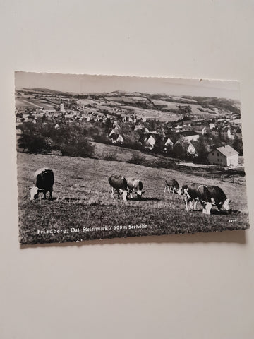 AK Friedberg.