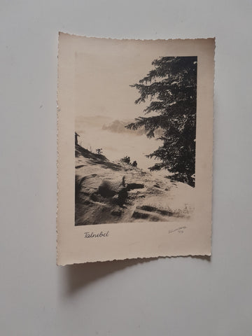 AK Talnebel. (Motivkarte Rhomberg Nummeriert: 1212)