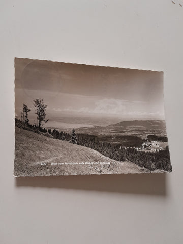 AK Blick vom Hochälpele aufs Bödele und Bodensee.