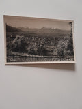AK Dornbirn.