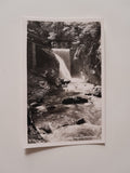 AK Dornbirn. Rappenlochschlucht.
