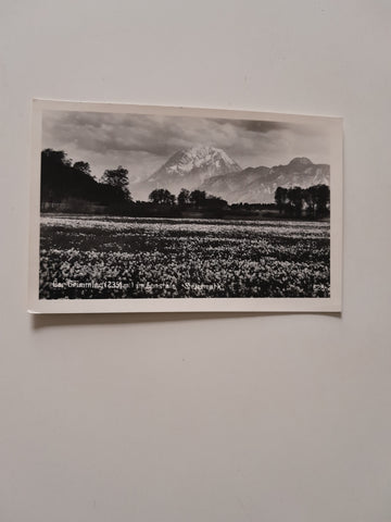 AK Der Grimming im Ennstal. (1960-61)