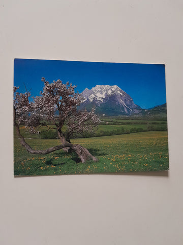 AK Blick auf Schloß Trautenfels und Pürgg. Grimming.