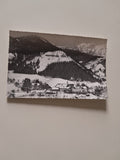 AK Pichl an der Enns. Alpengasthof und Pension Pichlmayrgut.
