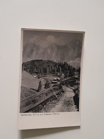 AK Walcheralm mit Dachstein.