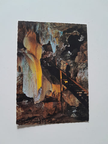 AK Gams im Gebirge. Kraushöhle.