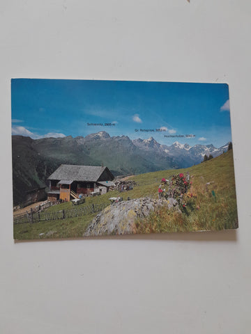 AK Dölsach. Gasthof Raneralm. (Roaneralm)
