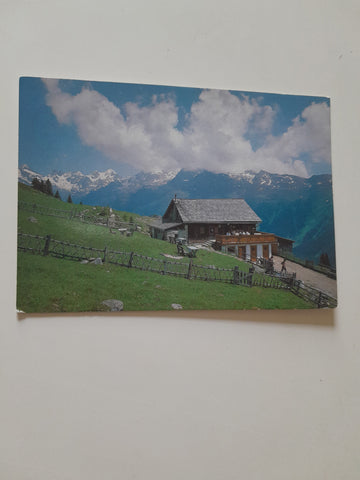 AK Dölsach. Alpengasthaus Raneralm. Bes. Josef Obersteiner, Iselsberg 19.
