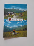 AK Dölsach. Gasthof Raneralm. (Roaneralm) Iselsberg 19.