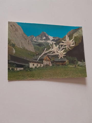 AK Blick vom Ködnitztal zum Großglockner. (Edelweiss)