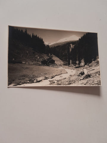 AK Motiv im Gebiet der Reichenbergerhütte.