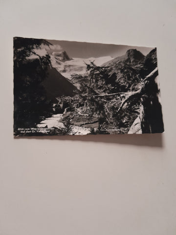 AK Blick vom Weg Innergschlöss Gr. Venediger.