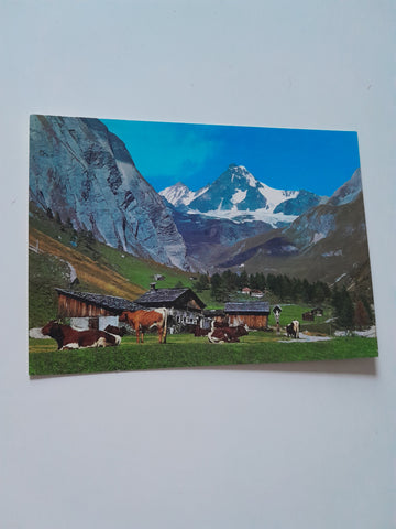 AK Ködnitztal bei Kals gegen Großglockner.