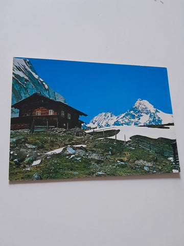 AK Kals/Großglockner. Alm im Ködnitztal.