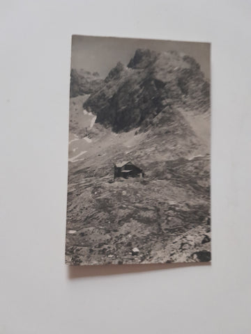 AK Die Karlsbader Hütte im Laserz und die Große Sandspitze.