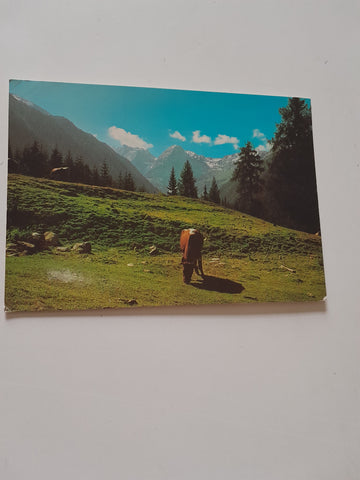 AK Almidylle in Kartitsch.