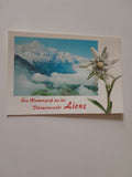 AK Ein Blumengruß aus der Dolomitenstadt Lienz.