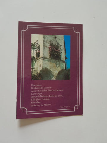 AK Lienz. Erkerfenster der Tammerburg - ehemaliger Küchenmairhof der Grafen von Görz.