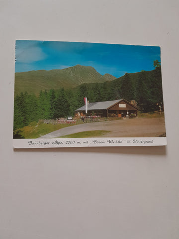 AK Bannberger Alpe mit Bösem Weibele im Hintergrund.