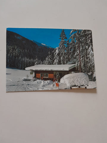 AK Lienz. Neuschnee am Schloßberg.