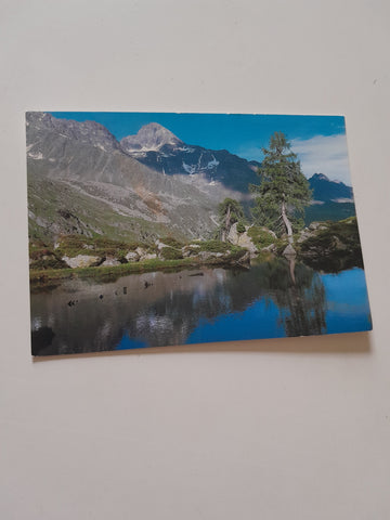 AK Bergerlebnis Debanttal. Schobergruppe - Nationalpark Hohe Tauern. Blick zum Hohen Perschitzkopf.